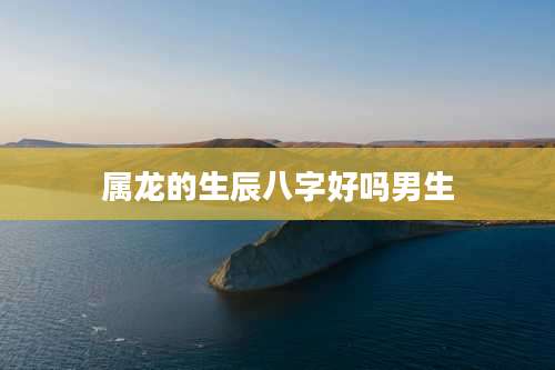 属龙的生辰八字好吗男生