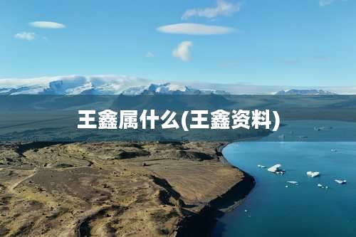 王鑫属什么(王鑫资料)