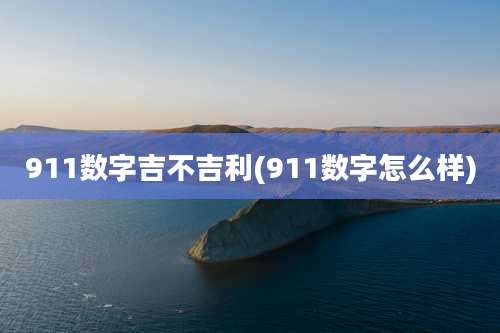 911数字吉不吉利(911数字怎么样)
