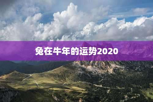 兔在牛年的运势2020