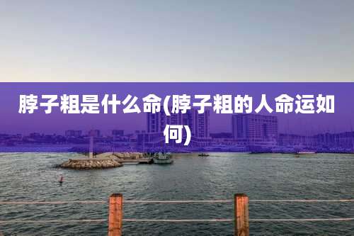 脖子粗是什么命(脖子粗的人命运如何)