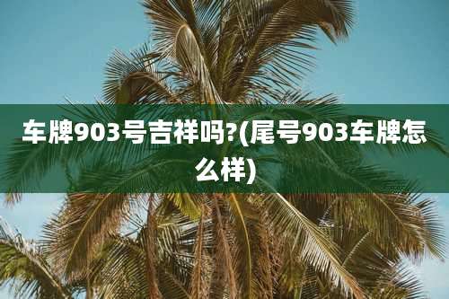 车牌903号吉祥吗?(尾号903车牌怎么样)