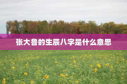 张大鲁的生辰八字是什么意思