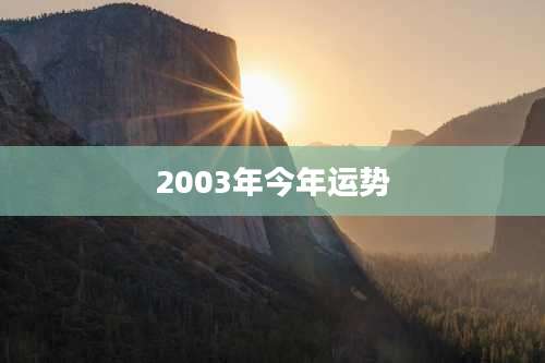 2003年今年运势