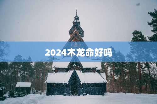 2024木龙命好吗