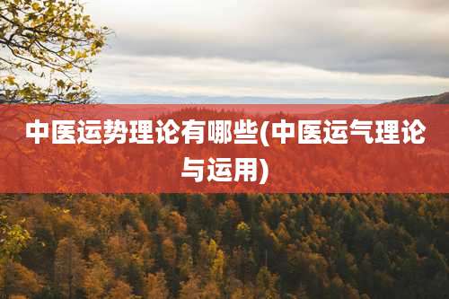 中医运势理论有哪些(中医运气理论与运用)
