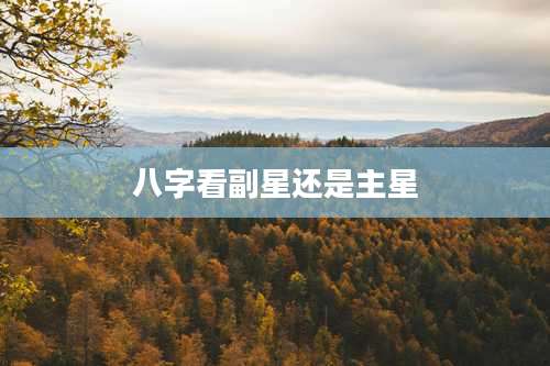 八字看副星还是主星