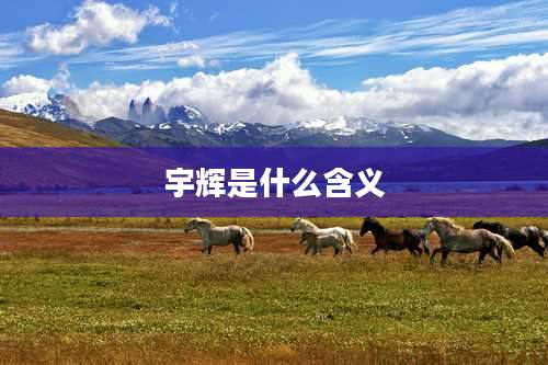 宇辉是什么含义