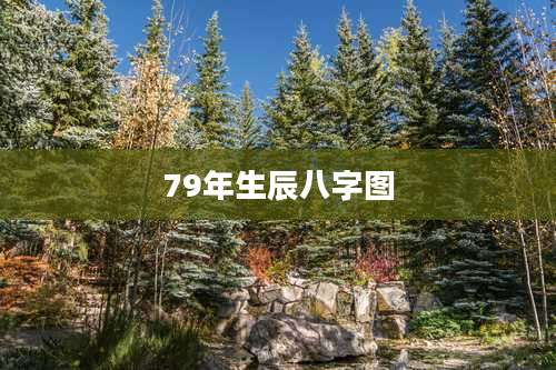 79年生辰八字图