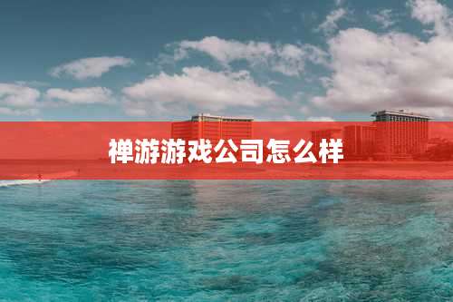 禅游游戏公司怎么样