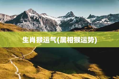 生肖猴运气(属相猴运势)