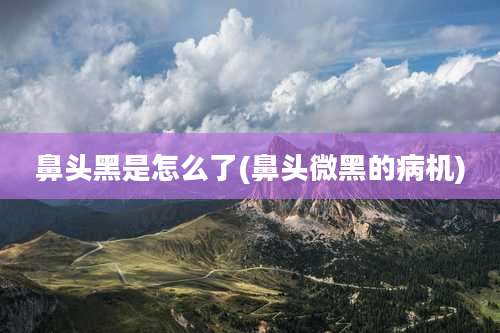 鼻头黑是怎么了(鼻头微黑的病机)
