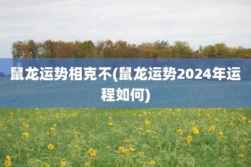 鼠龙运势相克不(鼠龙运势2024年运程如何)