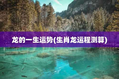 龙的一生运势(生肖龙运程测算)
