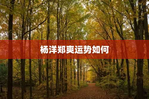 杨洋郑爽运势如何