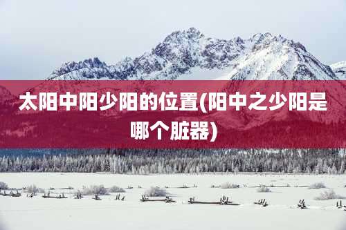 太阳中阳少阳的位置(阳中之少阳是哪个脏器)