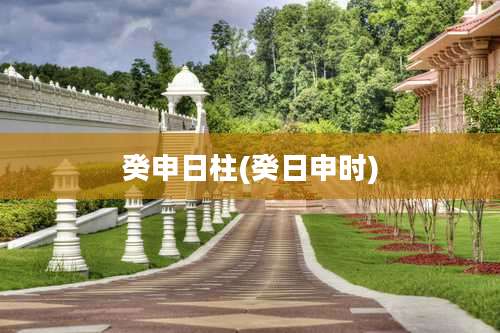 癸申日柱(癸日申时)