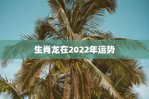 生肖龙在2022年运势