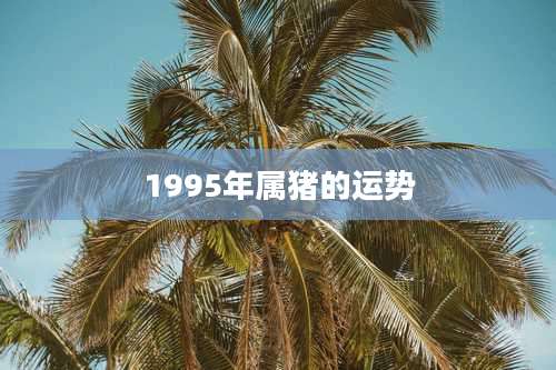 1995年属猪的运势