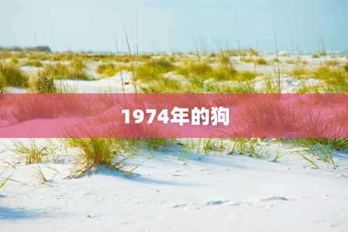 1974年的狗