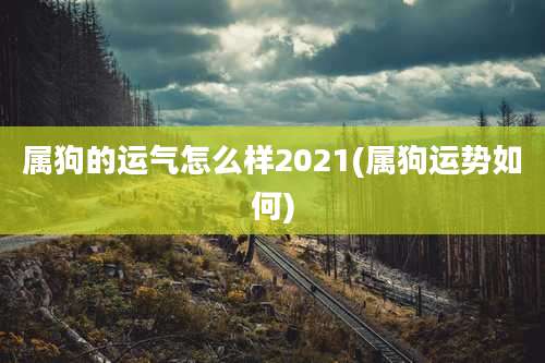 属狗的运气怎么样2021(属狗运势如何)
