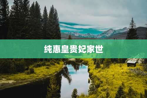 纯惠皇贵妃家世