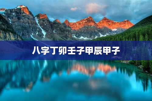 八字丁卯壬子甲辰甲子