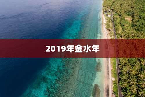 2019年金水年