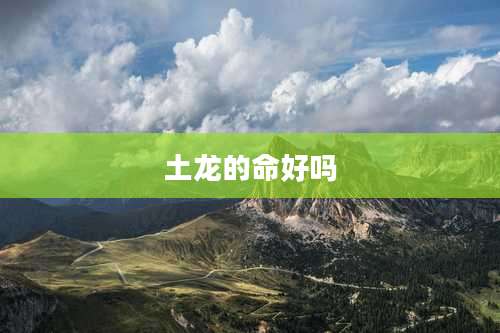 土龙的命好吗