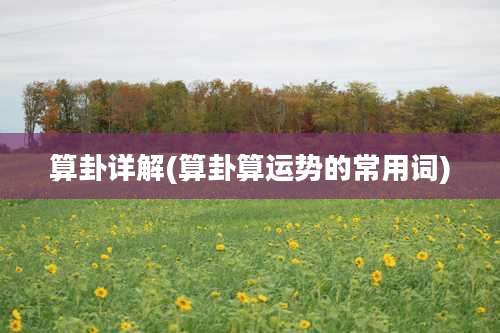 算卦详解(算卦算运势的常用词)