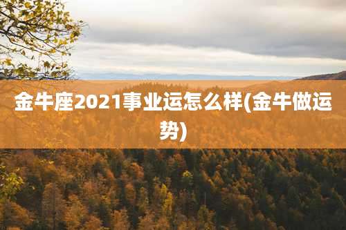 金牛座2021事业运怎么样(金牛做运势)