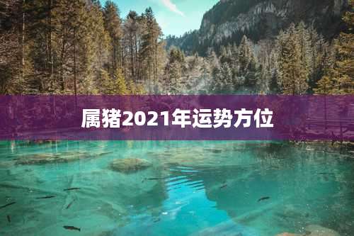 属猪2021年运势方位