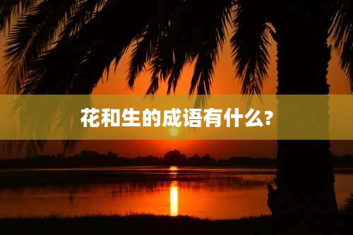花和生的成语有什么?