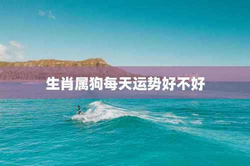 生肖属狗每天运势好不好