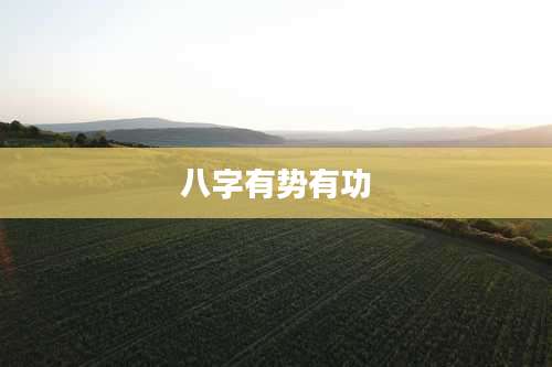 八字有势有功