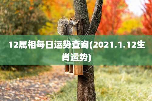 12属相每日运势查询(2021.1.12生肖运势)