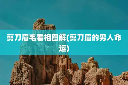 剪刀眉毛看相图解(剪刀眉的男人命运)