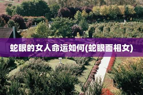 蛇眼的女人命运如何(蛇眼面相女)