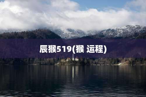 辰猴519(猴 运程)