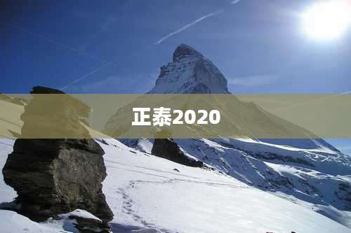 正泰2020