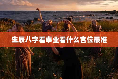 生辰八字看事业看什么宫位最准