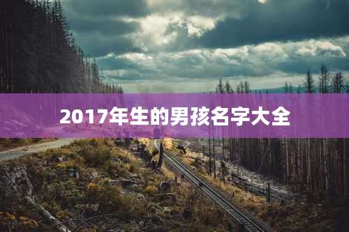 2017年生的男孩名字大全