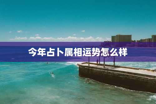 今年占卜属相运势怎么样