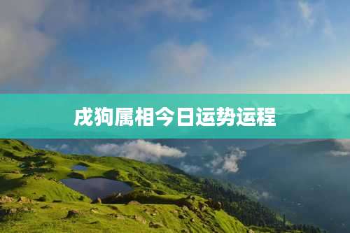 戌狗属相今日运势运程