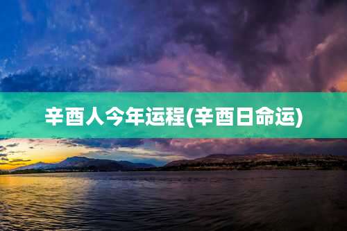 辛酉人今年运程(辛酉日命运)
