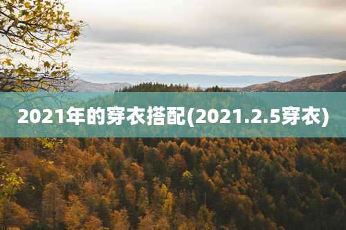 2021年的穿衣搭配(2021.2.5穿衣)