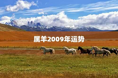 属羊2009年运势