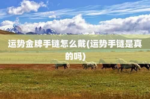 运势金牌手链怎么戴(运势手链是真的吗)