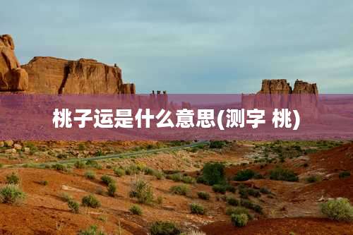 桃子运是什么意思(测字 桃)
