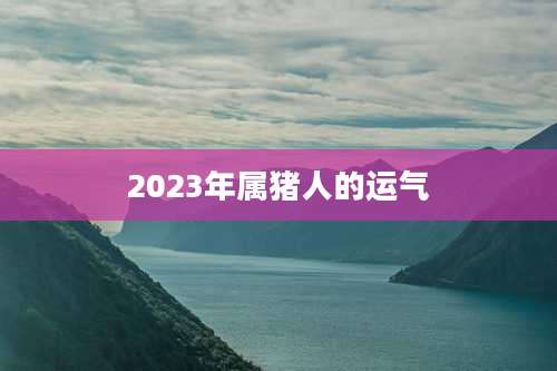 2023年属猪人的运气